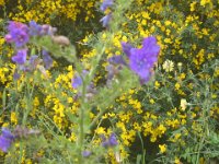 Bild 058